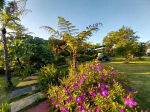 een tuin met paarse bloemen en een palmboom bij K'Ho Cil Homestay Tà Nung in Da Lat