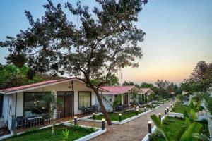 eine Reihe von Häusern mit einem Baum im Vordergrund in der Unterkunft Amore Serenity Resort in Arambol