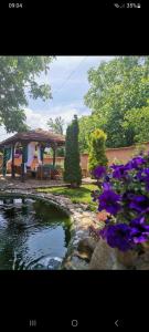 einen Garten mit lila Blumen und einem Teich in der Unterkunft Villa Diana Apartments in Skopje