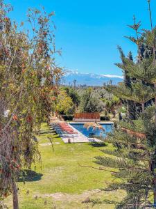 a yard with a swimming pool and some trees at LE BLED DE GRE in Marrakesh