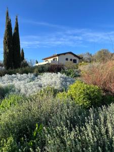 Kebun di luar Casale Terre Rosse