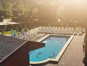 two dolphins swimming in a swimming pool with chairs at Chalet Filvarok in Slavske