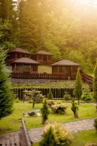 ein großes Holzhaus inmitten eines Parks in der Unterkunft Chalet Filvarok in Slawske