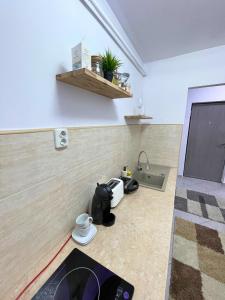 a kitchen with a counter with a sink and a sink at Apartament Fălticeni in Fălticeni