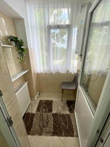 a small bathroom with a window and a rug at Apartament Fălticeni in Fălticeni