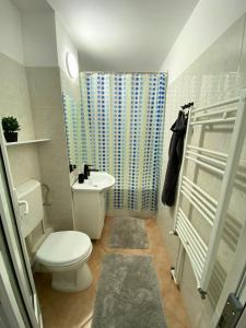 a small bathroom with a toilet and a sink at Apartament Fălticeni in Fălticeni