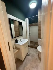 a bathroom with a sink and a toilet at Luxury Studio in Iaşi