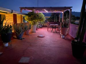 un patio avec des plantes en pot et une table sur une terrasse dans l'établissement Hostal Mixteco Naba Nandoo, à Oaxaca