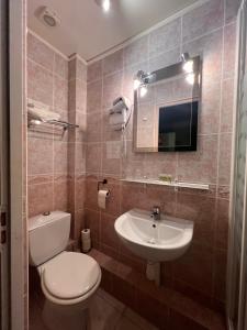 a bathroom with a toilet and a sink and a mirror at Hotel Le Ponteil in Antibes