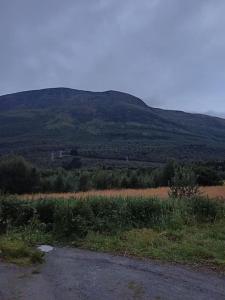 a road in a field with a mountain in the background at kosebua in Narvik