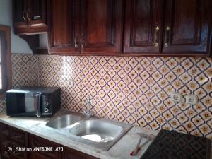 a kitchen counter with a sink and a microwave at La rose 1 in Mezraya