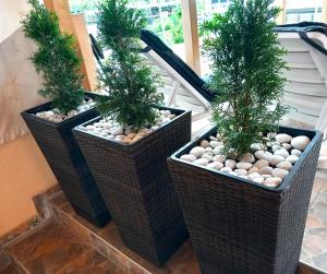 three wicker baskets with plants in them on a porch at ViBo Guesthouse in Sapareva Banya