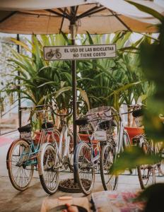 un grupo de bicicletas estacionadas bajo un paraguas en Casa Conicarit, en Puerto Escondido