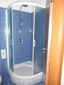 baño de azulejos azules con ducha y puerta de cristal en Hotel Arli en Senica