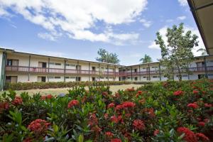 Sodas prie apgyvendinimo įstaigos Fiji Gateway Hotel