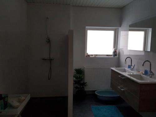 een badkamer met een douche, een wastafel en een raam bij B&B Loon in Loon