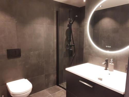 a bathroom with a toilet and a sink and a mirror at Fiskekrogen Rorbuer in Henningsvær