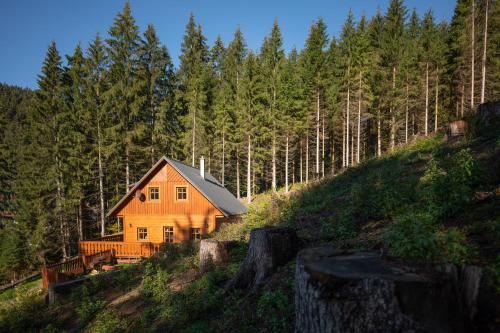 Peisaj natural din apropierea acestei cabane