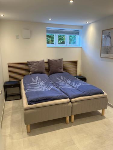 a bedroom with a bed with blue sheets and a window at Tyge Brahes vej 33 in Aalborg