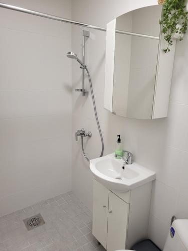 Old Town Apartment nr 2 tesisinde bir banyo