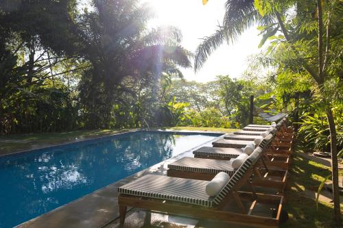 eine Reihe von Liegestühlen neben einem Pool in der Unterkunft Hotel Nya in Montezuma