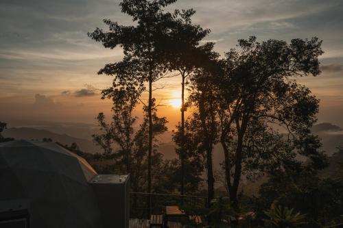 un coucher de soleil derrière quelques arbres avec le soleil en arrière-plan dans l'établissement Terramia Estate, à Minca