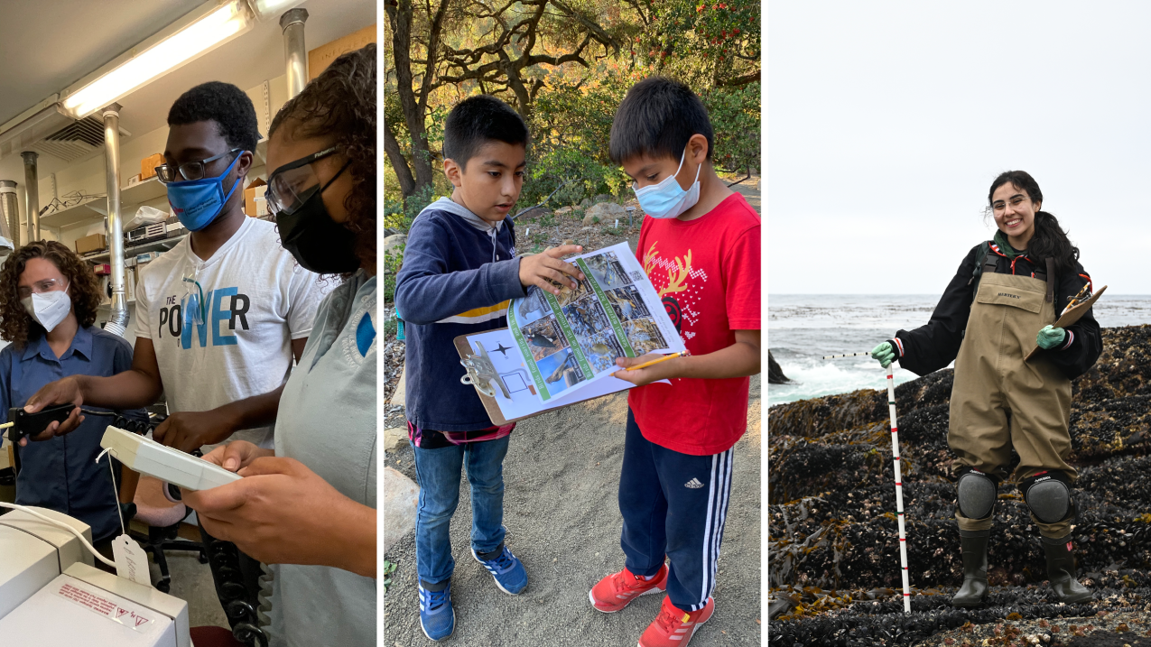 Three photos side-by-side. The first photo shows three students around a large piece of lab equipment. All three are focused on an instrument that one student appears to be inserting into the equipment. The second photo shows two children stand near a creek and look at a clipboard that holds papers about a watershed and its local wildlife. Photo three: An undergraduate scholar stands on a rocky shore and smiles at the camera, she's wearing a jacket, waders, and knee pads, and holds field equipment.