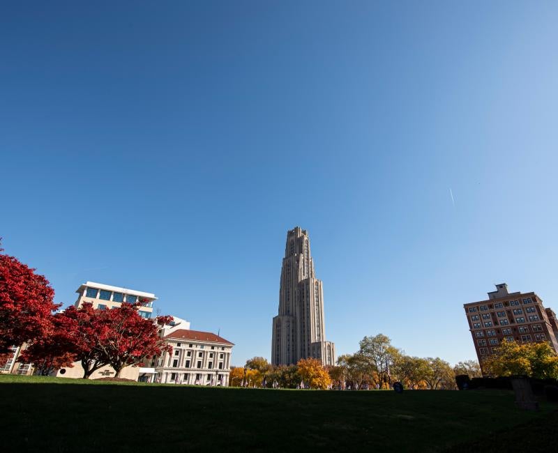 Campus during the fall season.