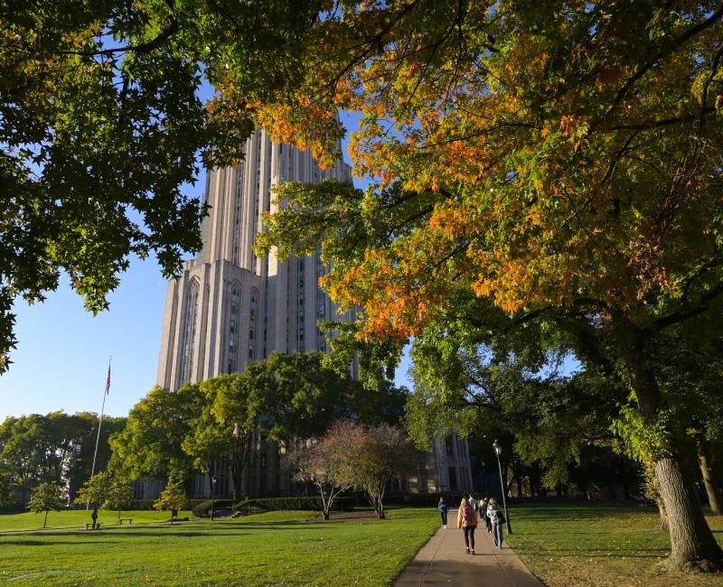 Students walk alongside the Cathedral lawn in the fall.