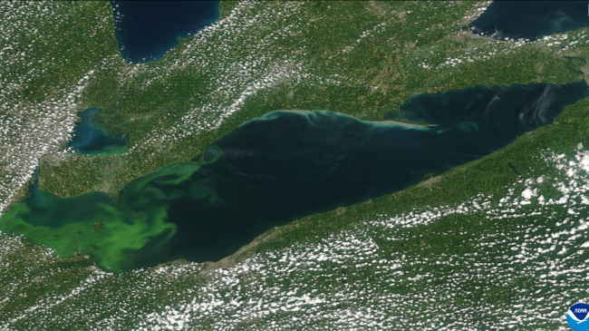 Image of a harmful algal bloom in Lake Erie as seen from the NOAA/NASA Suomi-NPP satellite on August 16, 2015. The Ocean Color Instrument on GeoXO will overcome the limitations of low-Earth orbiting satellites whose observations are often affected by cloud cover and sunglint.