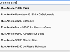 Global Address Autocomplete