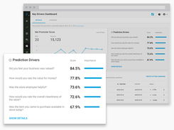 Key driver analysis and advanced analytics tell you which parts of your customer experience or operational performance are having the biggest impact on this KPI.