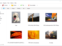 Integrate image viewer