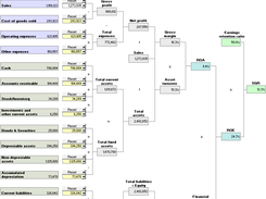 ROA-ROE Analysis