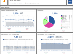 Basic SEO Report | 50  more KPIs inside the template!