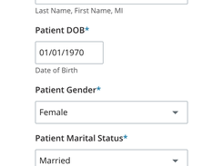 Electronic Intake Forms