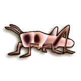 Grasshopper sprite from Twilight Princess HD