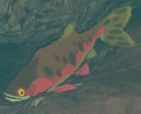 Sizzlefin Trout model from Breath of the Wild