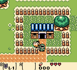 Road screenshot from Link's Awakening DX