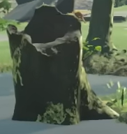 Tree Stump model from Tears of the Kingdom