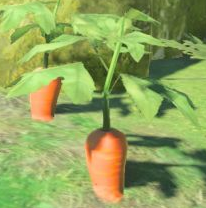 Carrot model from Breath of the Wild