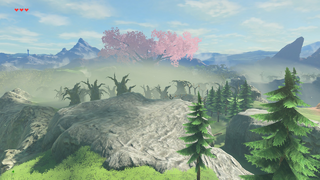 Lost Woods screenshot from Breath of the Wild