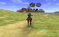 Carrots visible while riding Epona from Ocarina of Time