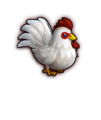 Cucco