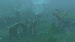 Lost Woods screenshot from Tears of the Kingdom