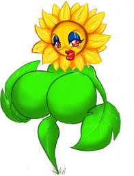 Sunflower 999.jpg