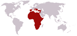 Sem predadores pois então no topo da cadeia alimentar naturais,as girafas dominaram o continente africano e continuaram sua conquista até a Itália, Espanha, Portugal ,Creta e Brasil.