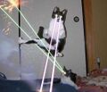 Gatos With Lasers.