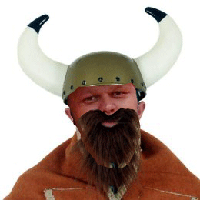 Viking costume.jpg