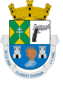 Brasão de Diadema - SP.svg.png